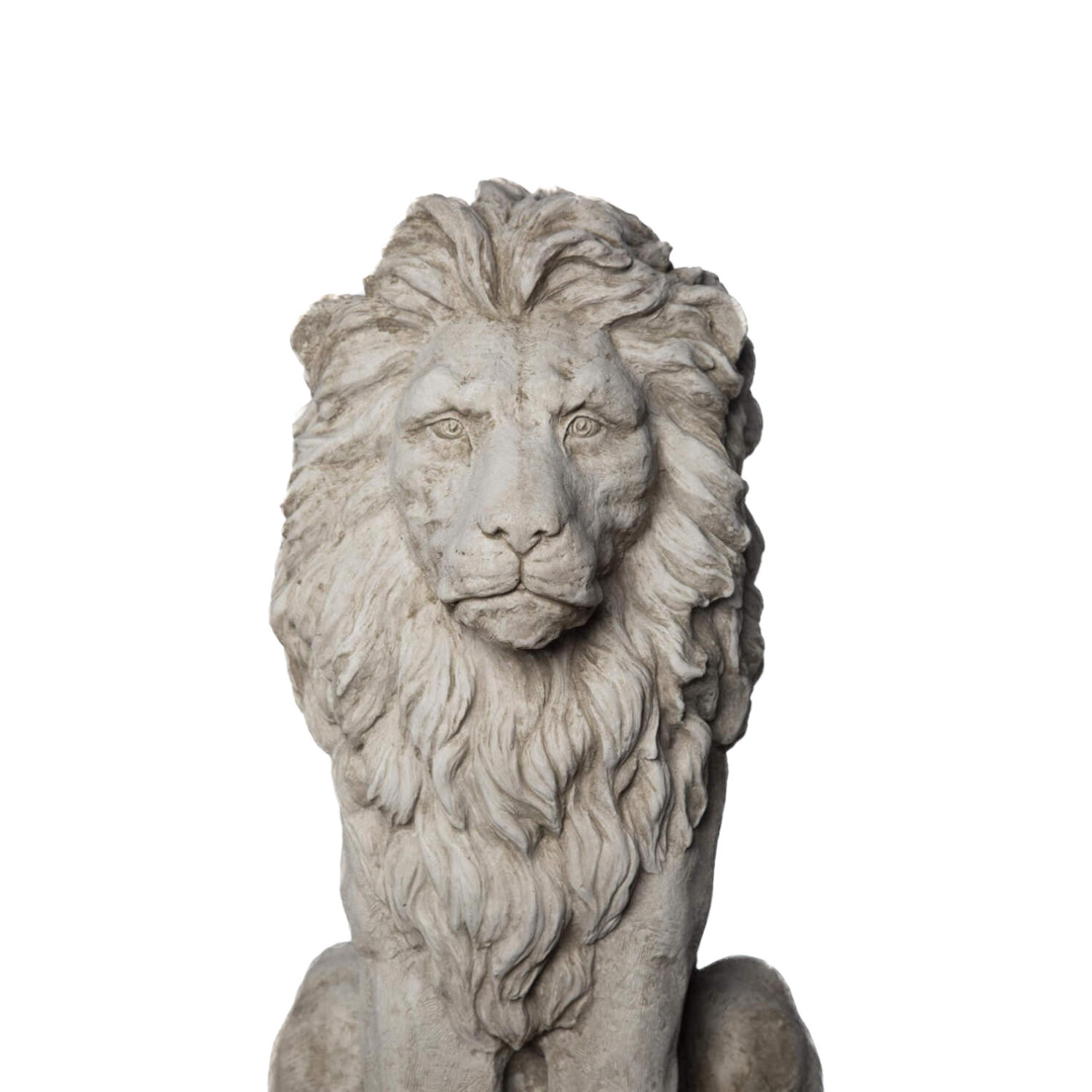 Large Sitting Lion head