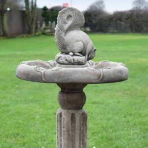 ClassicSquirrelBB_CSQBB-4-017-bowl