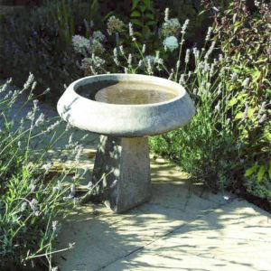 PureSimpleBB_PSBB-C5772-garden