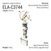 EgyptianLargeArmillary_ELA-C3744